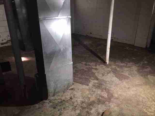 Testing again(47).jpg